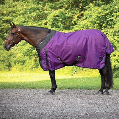 StormShield® Contour Collar Turnout Blankets