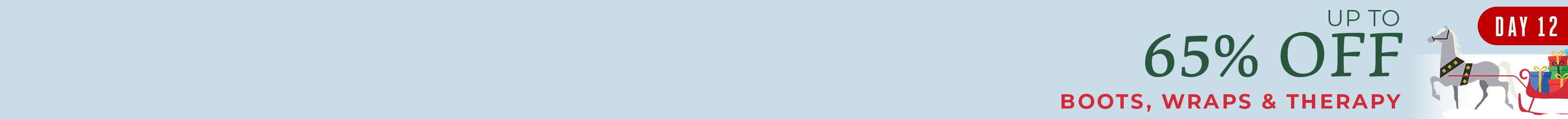 
<!-- AltImageNameForCategory -->
12 Days of Flash Sales - Day 12