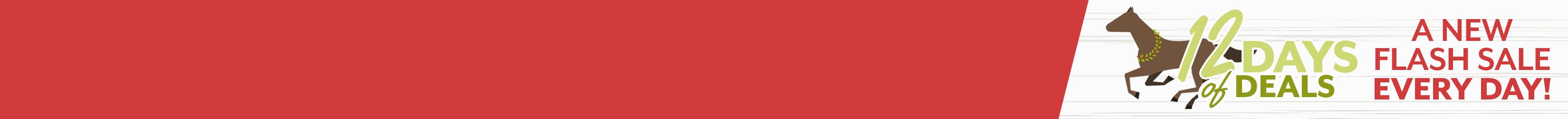 
<!-- AltImageNameForCategory -->
12 Days of Flash Sales - Day 1