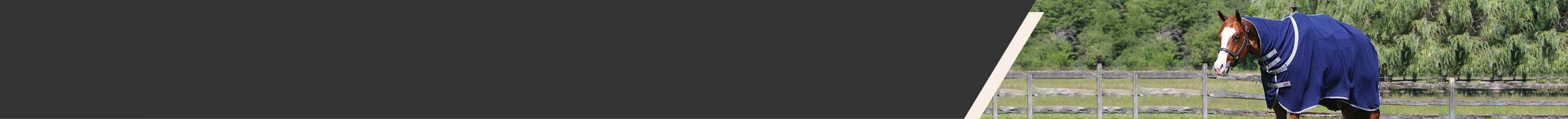 
<!-- AltImageNameForCategory -->
Chestnut horse is wearing a blue horse cooler blanket or horse cover. Coolers are used to keep the horse dry after strenuous exercise.