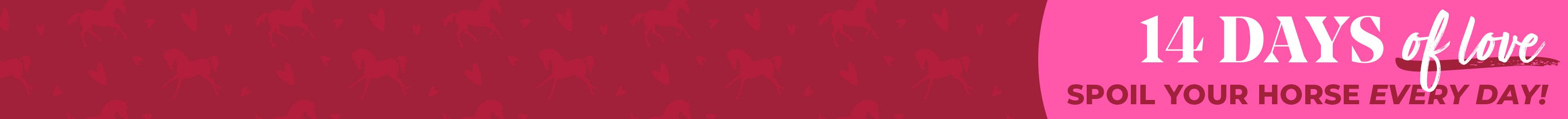 
<!-- AltImageNameForCategory -->
14 Days of Love