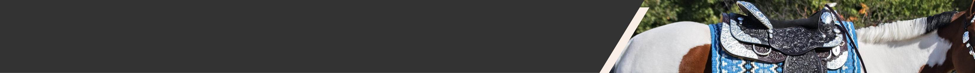 
<!-- AltImageNameForCategory -->
Western Saddles