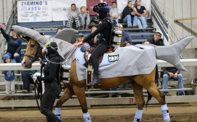 Horse Costume - Shark and Scuba Divers