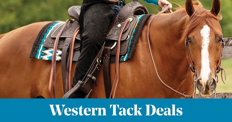 
<!-- AltImageNameForCategory -->
Western Tack DealsFeatued Category