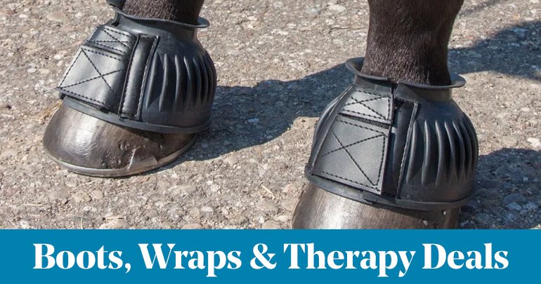 
<!-- AltImageNameForCategory -->
Boots, Wraps & Therapy DealsFeatued Category