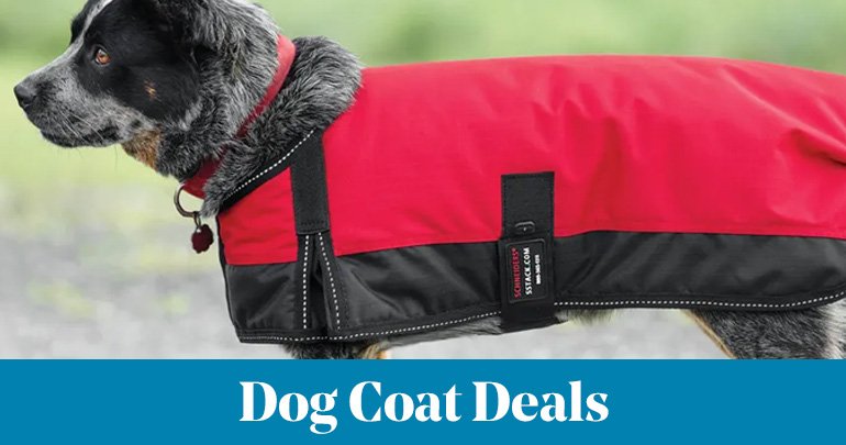 
<!-- AltImageNameForCategory -->
Dog Coat DealsFeatued Category