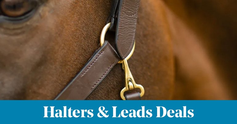 
<!-- AltImageNameForCategory -->
Halters & Leads DealsFeatued Category