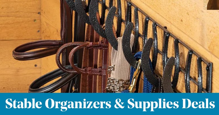 
<!-- AltImageNameForCategory -->
Stable Organizers & Supplies DealsFeatued Category