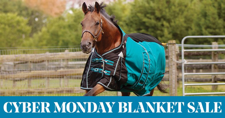 
<!-- AltImageNameForCategory -->
Holiday Blanket SaleFeatued Category