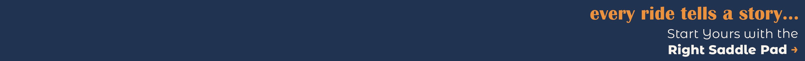 
<!-- AltImageNameForCategory -->
Our BEST Saddle Pads