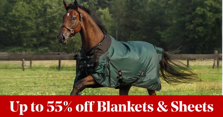 
<!-- AltImageNameForCategory -->
Countdown to Black Friday: Day 2Featued Category