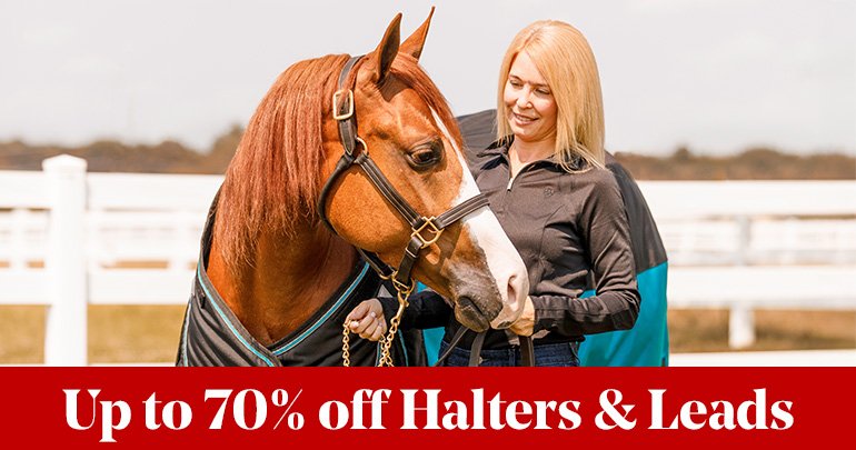 
<!-- AltImageNameForCategory -->
Countdown to Black Friday: Day 3Featued Category