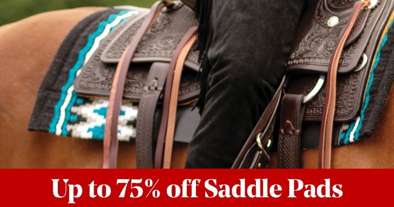 
<!-- AltImageNameForCategory -->
Countdown to Black Friday: Day 4Featued Category