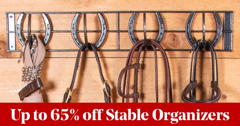 
<!-- AltImageNameForCategory -->
Countdown to Black Friday: Day 6Featued Category