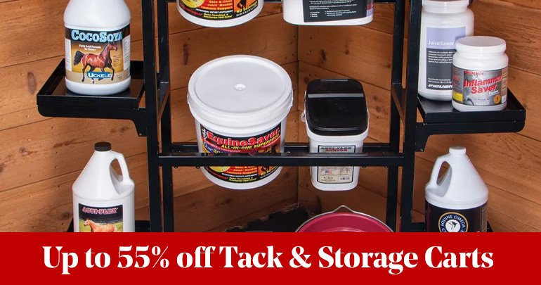 
<!-- AltImageNameForCategory -->
Countdown to Black Friday: Day 7Featued Category