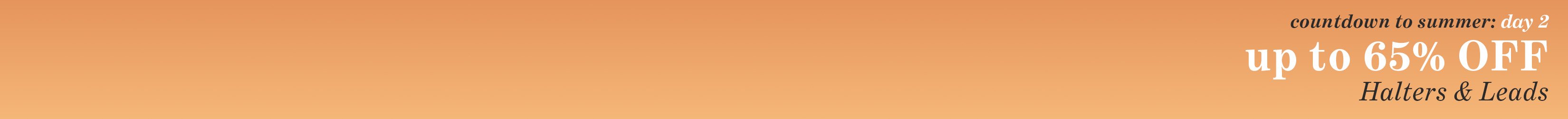 
<!-- AltImageNameForCategory -->
Countdown to Summer: Day 2