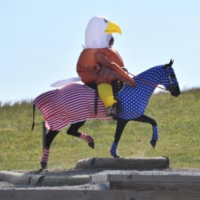Horse Costume - America Pride