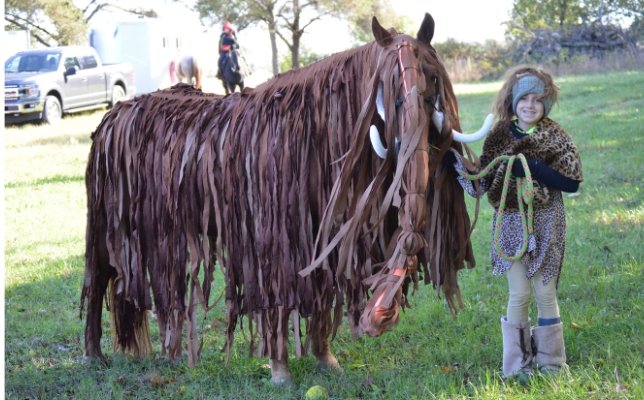 Horse Costume - Mammoth