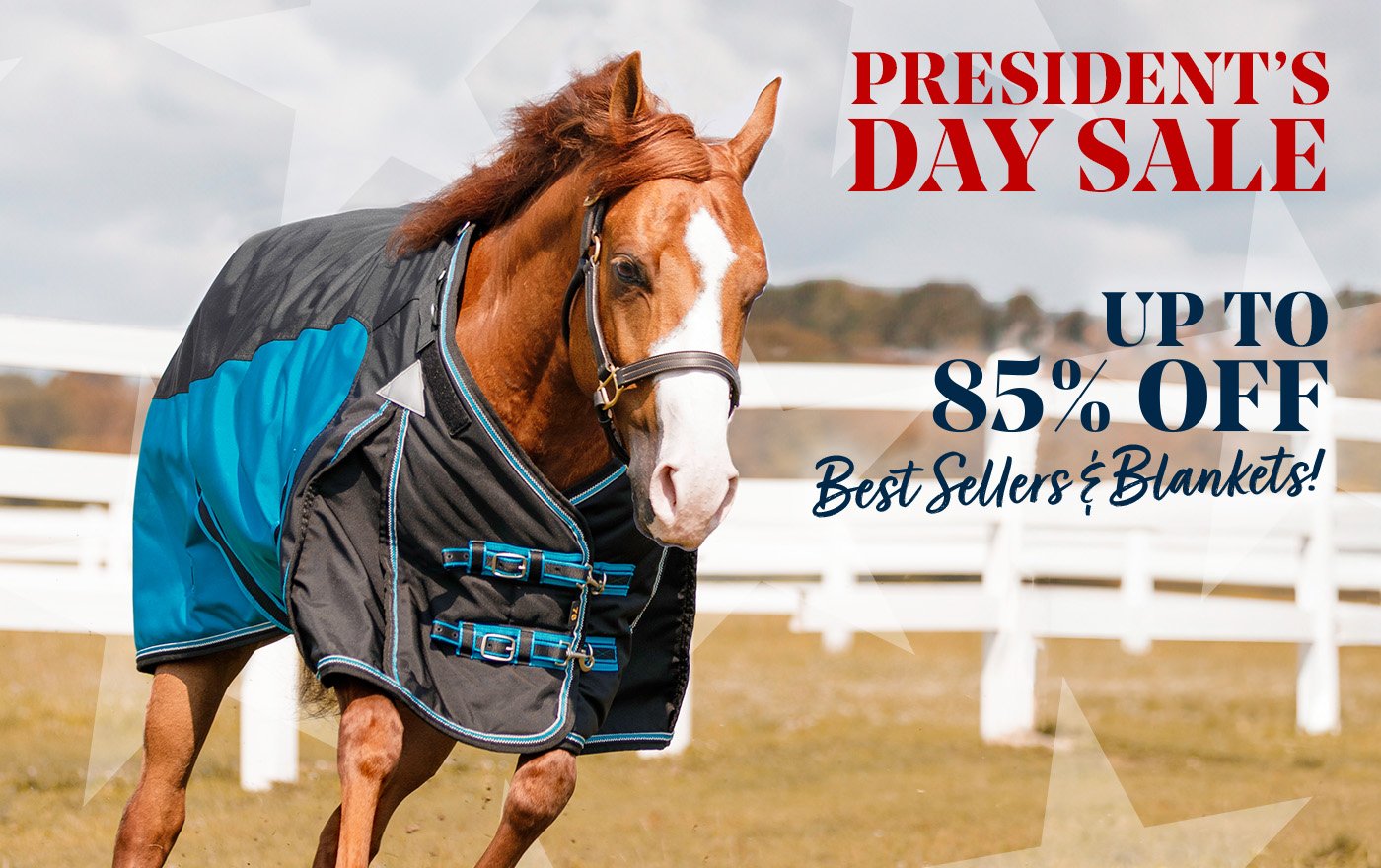 Presidents Day Sale
