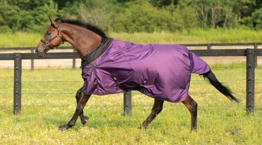 Horse Blanketing 101