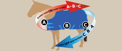 How to Put On a Horse Blanket