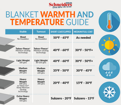 Temperature Guide for Blanketing Horses