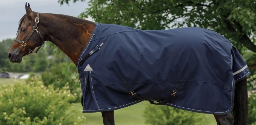 Senior VTEK Wither Relief