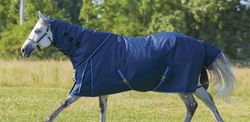 Attached Neck V-Free Wither Relief