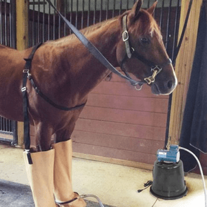 Jacks Whirlpool Boots with Compressor