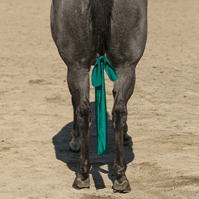 UltraFlex Lycra Tail Bag