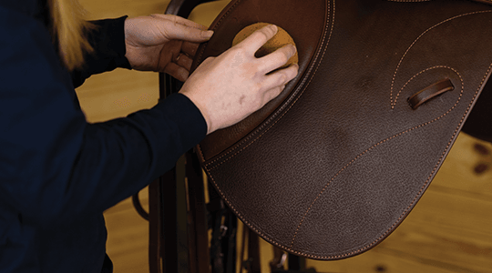 A Step-by-Step Guide on How to Clean Horse Tack