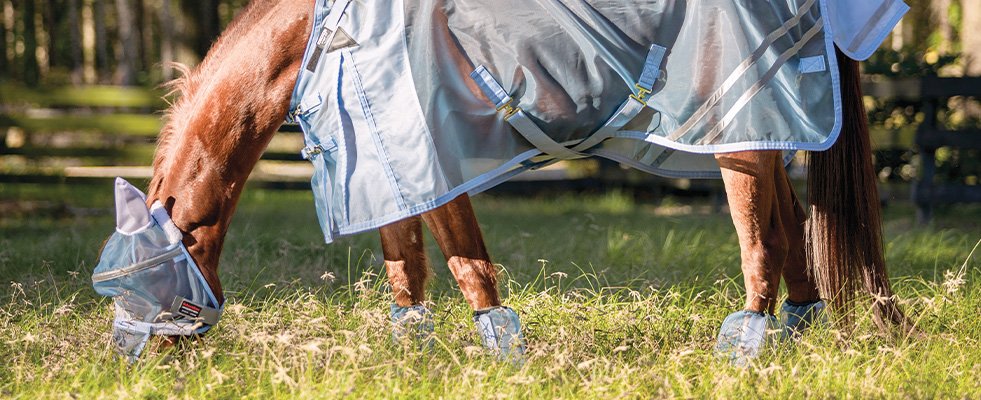 Benefits of Using a Fly Mask