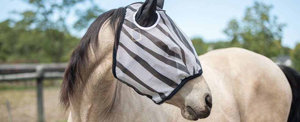 What is a Fly Mask