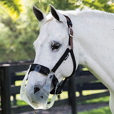 ThinLine® Flexible Filly Slow Feed Grazing Muzzl