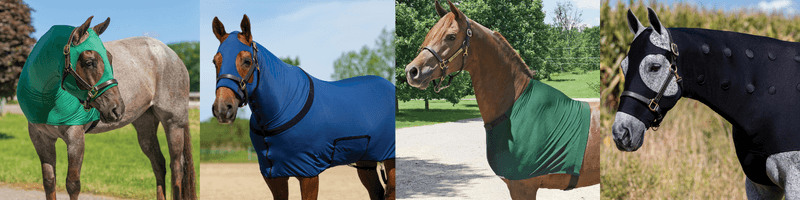 Types of Horse Slickers