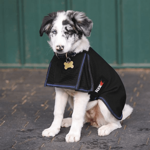 Ceramic Therapy Mesh Dog Coat