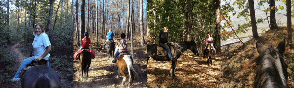 Schneiders Employee - Dianne Rutherford