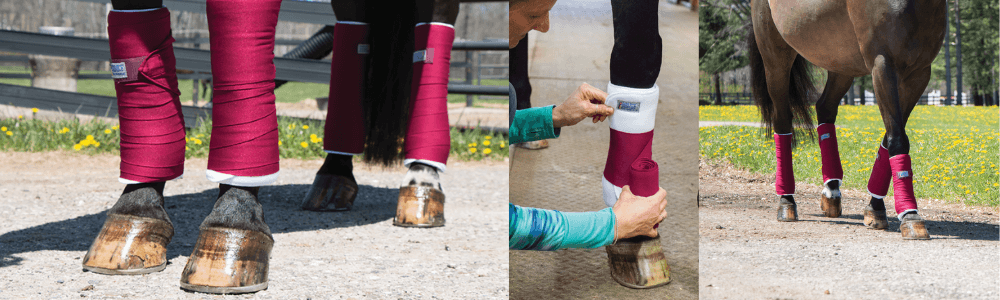 What Are Horse Standing Wraps Used For