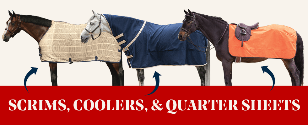 Scrim Cooler vs Quarter Sheet