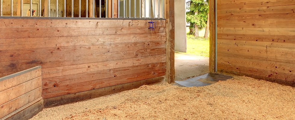How to Clean a Stall