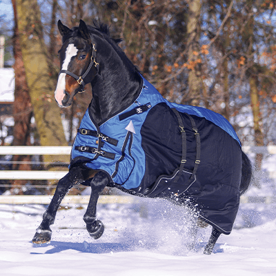 ARMORFlex® Warrior II - Discover Ultimate Protection