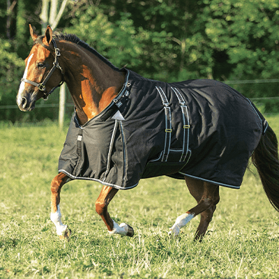 ARMORFlex® Challenger II - Challenging Blanket Standards