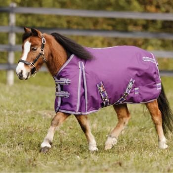 Mini Horse Blankets