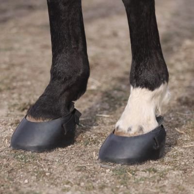 Dura-Tech® Protective Rubber Horse Boot