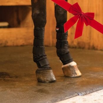 Schneiders Cold Crystals Therapy Leg Wraps