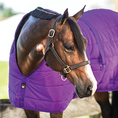 Adjust-Fit Dura-Nylon V-Free Guardian Bellyband Stable Blanket - Midweight