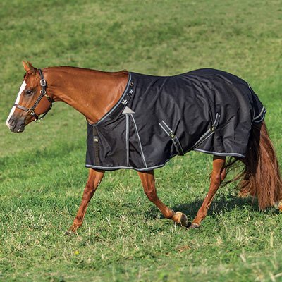 Adjusta-Fit Dura-Nylon Cutback Westcoast Leg Strap Horse Stable Blanket