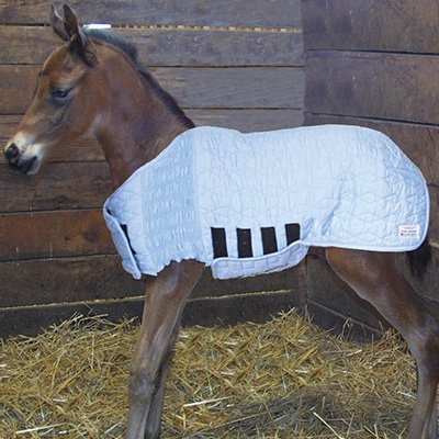 UltraFlex Foal Saver Lightweight Blanket