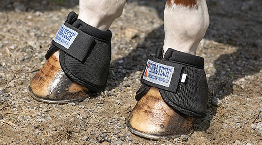 What are Bell Boots for Horses