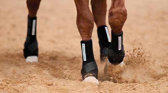 Top Horse Boots for Injury Prevention and Support